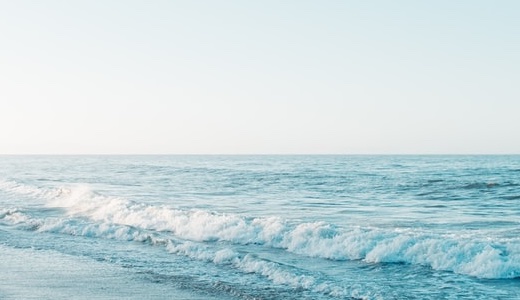 動画見るスマホプラン！