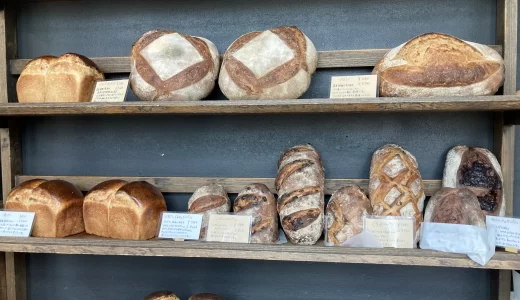 BASEFOOD 7ヶ月食べてみた！